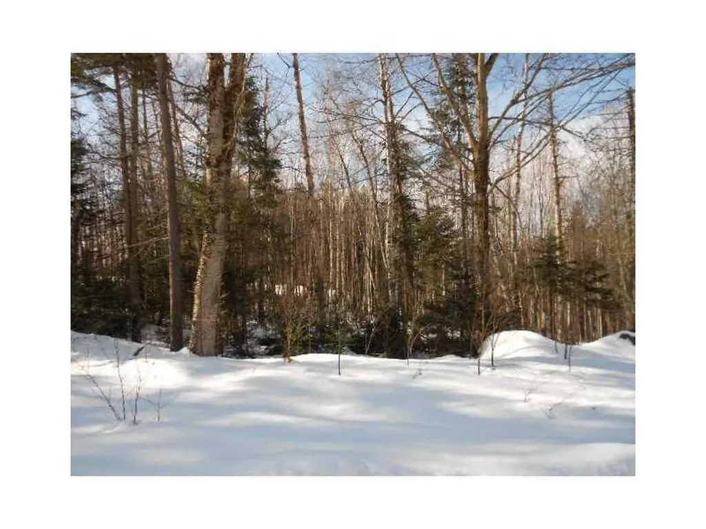 Lot 23.1 Glades View Avenue Newry ME 04261
