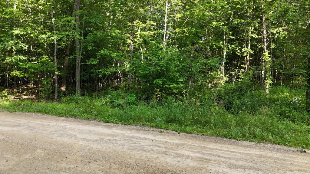 Lot 3-12 Shady Lane Newport ME 04953