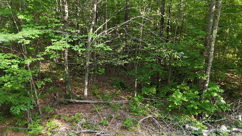 Lot 3-12 Shady Lane Newport ME 04953