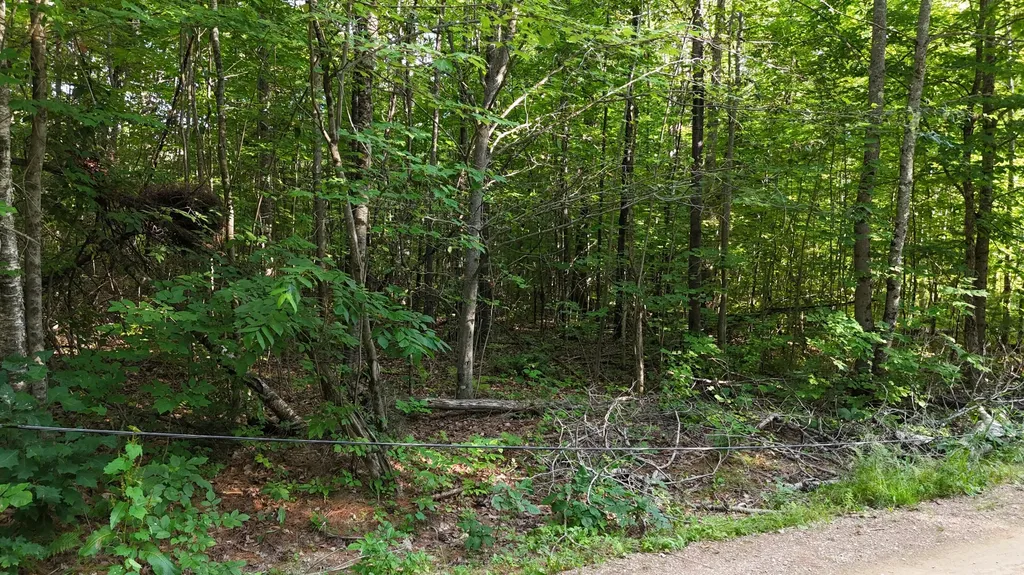 Lot 3-12 Shady Lane Newport ME 04953