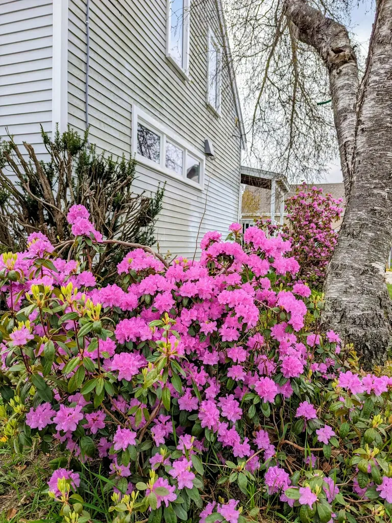 30 Green Street Biddeford ME 04005
