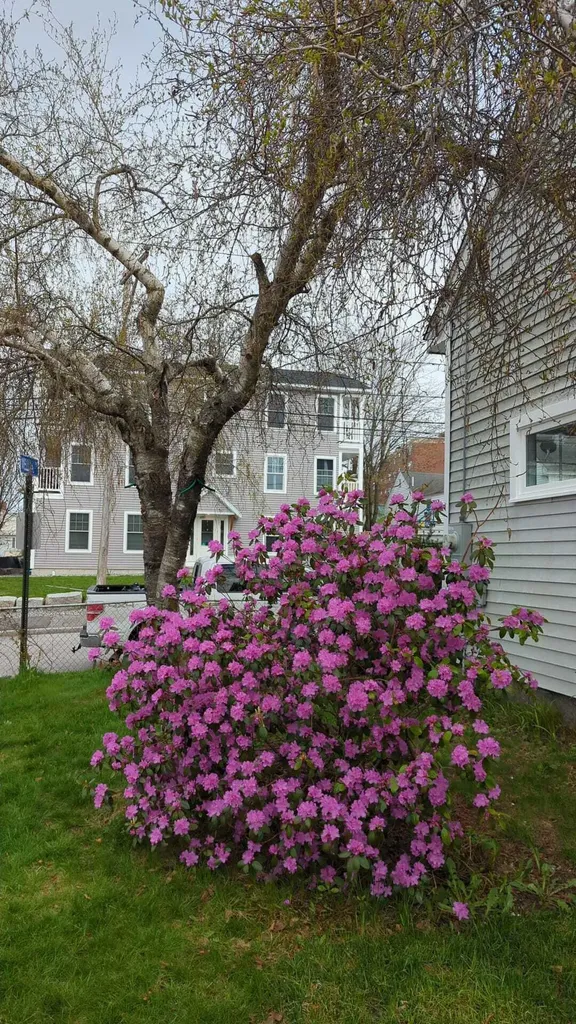 30 Green Street Biddeford ME 04005