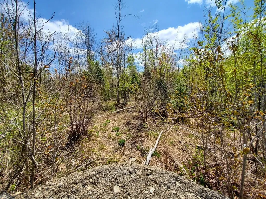 LOT#2 Cone Road Amity ME 04471