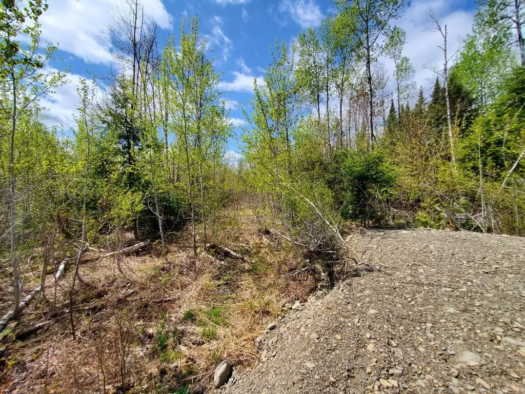 LOT#2 Cone Road Amity ME 04471