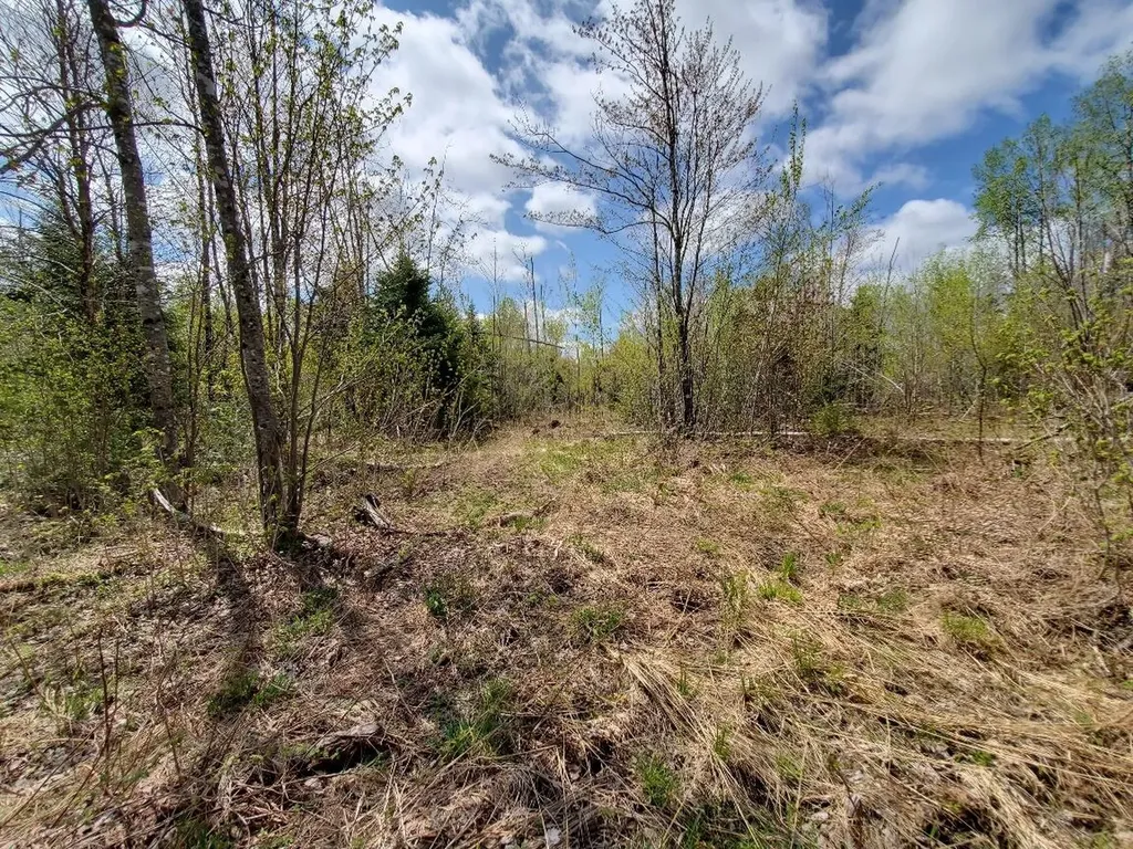 LOT#2 Cone Road Amity ME 04471