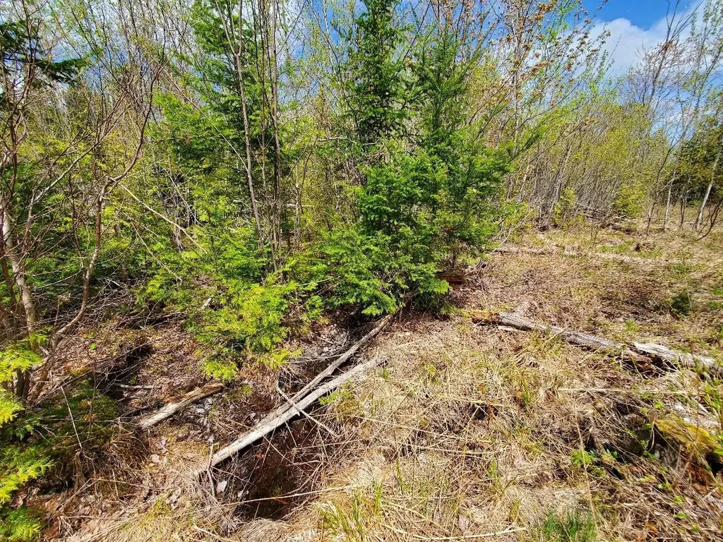 LOT#2 Cone Road Amity ME 04471