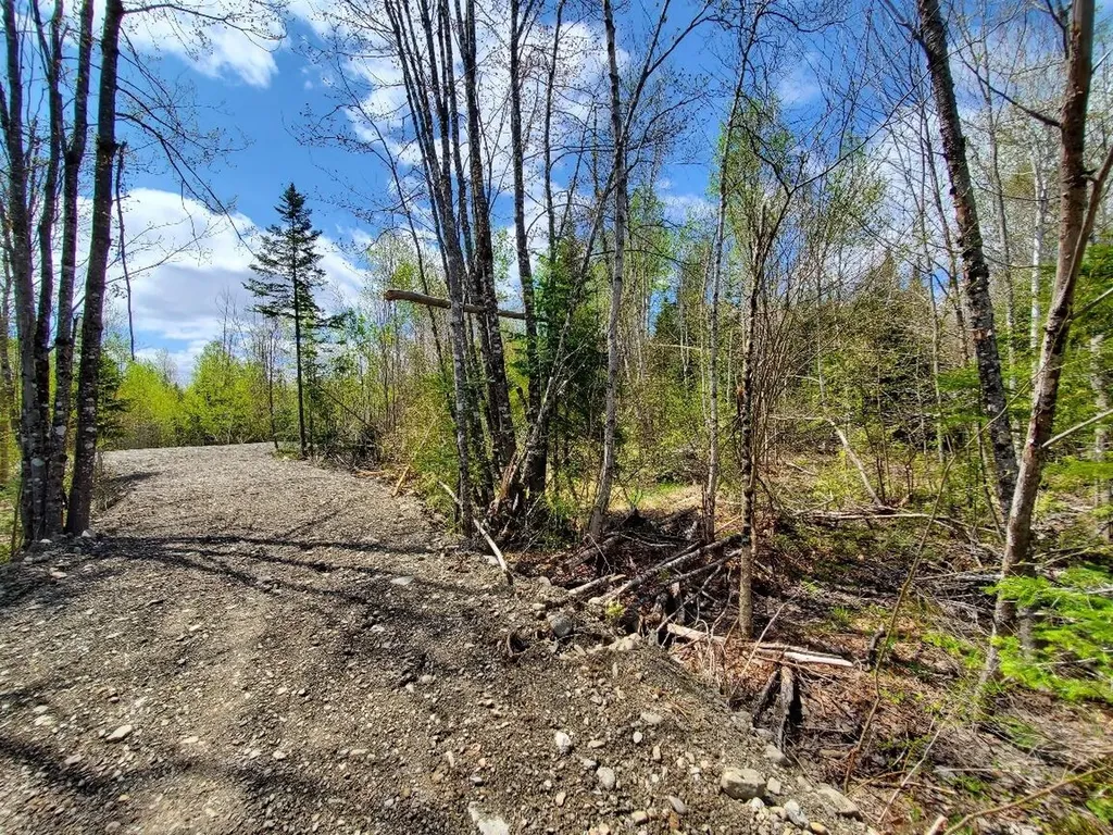 LOT#2 Cone Road Amity ME 04471