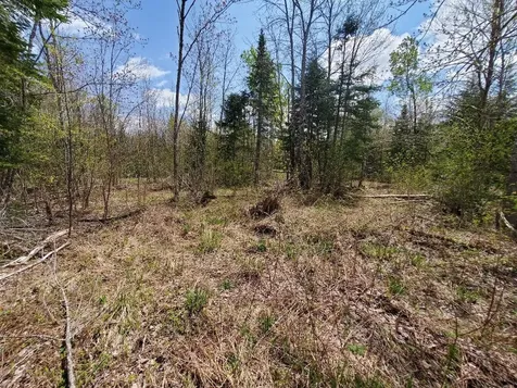 LOT#2 Cone Road Amity ME 04471