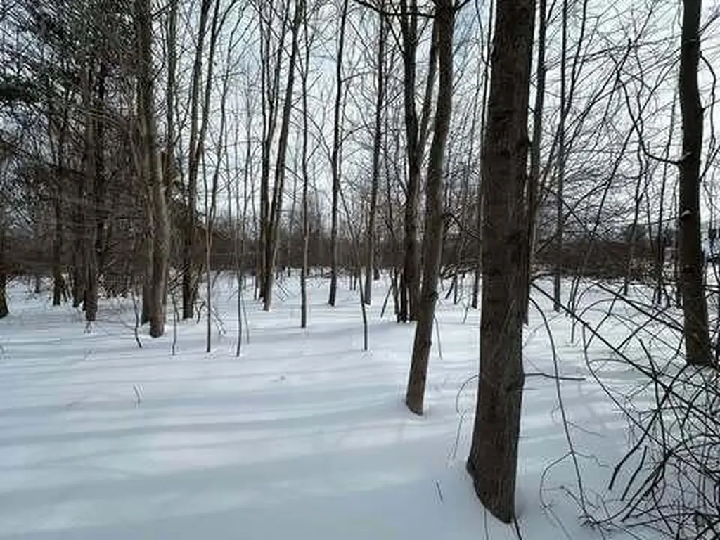 Lot 20-3 Pine Hill Road Monmouth ME 04259