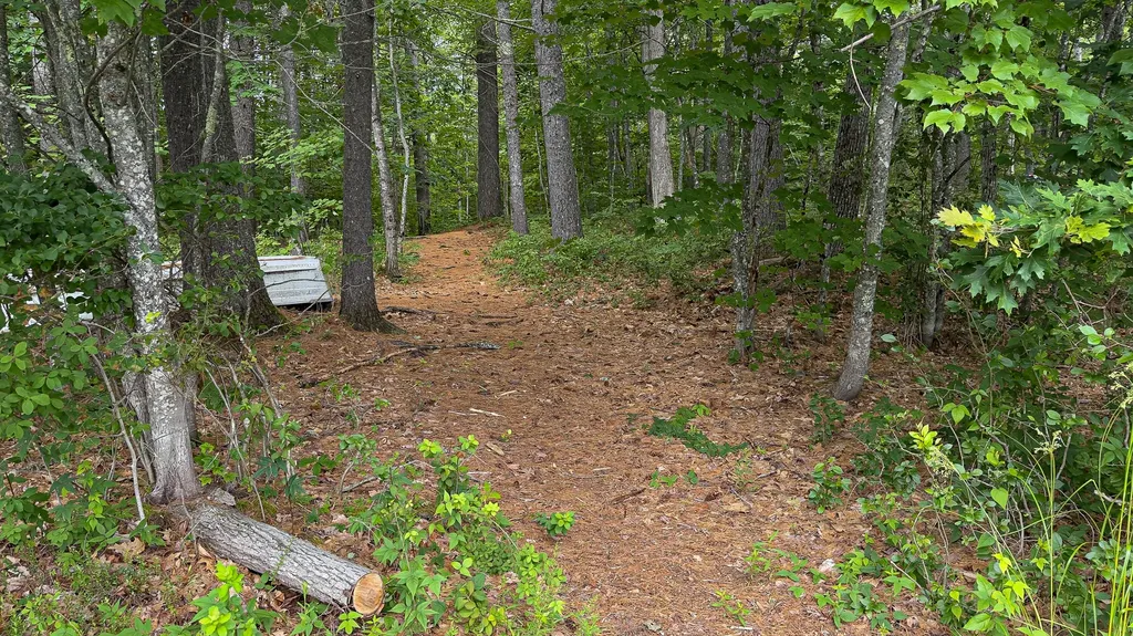 62-B Long Pond Drive Denmark ME 04022