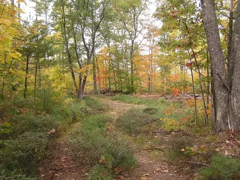 62-B Long Pond Drive Denmark ME 04022