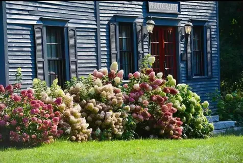 78 Park Street Dover-foxcroft ME 04426