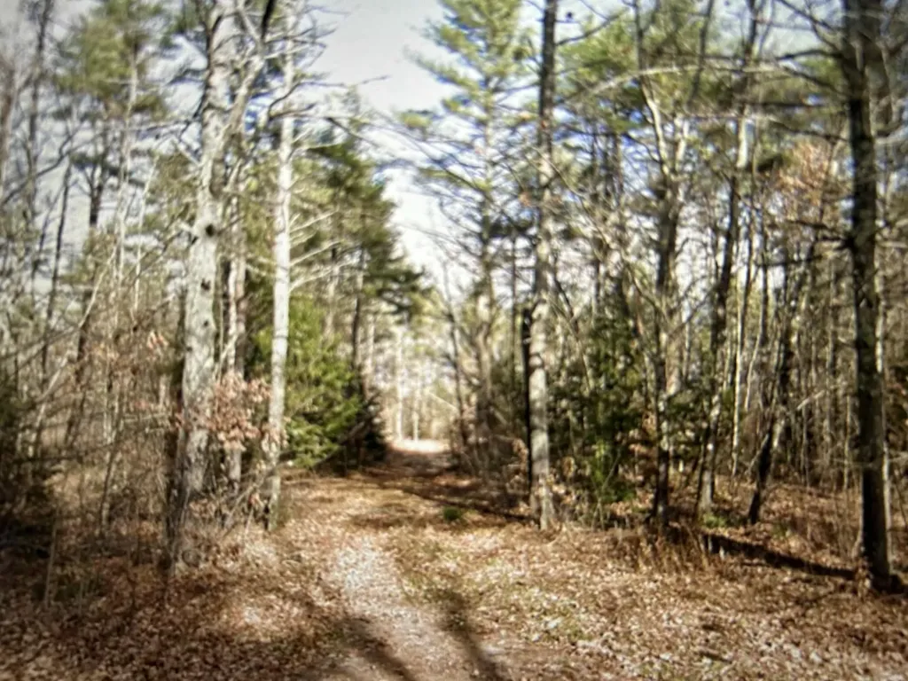 Lot # William Knight Road Windham ME 04062