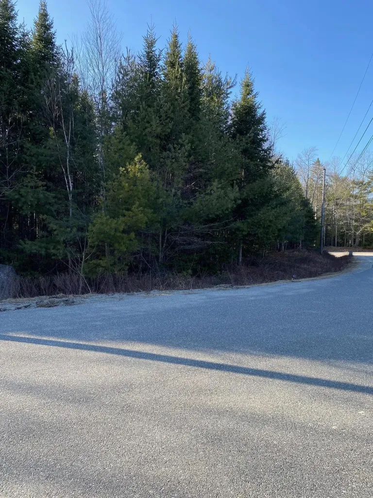 Lot 5 Ash Lane Surry ME 04684