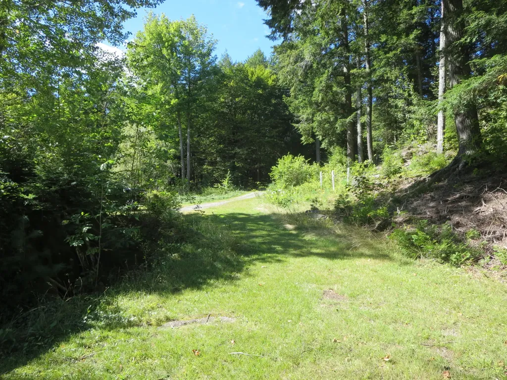 7 Norway Point Road Lake View Plt ME 04463