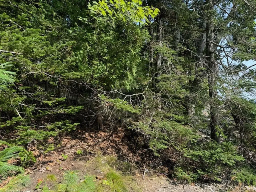 Lot C Long Point Road Harpswell ME 04079