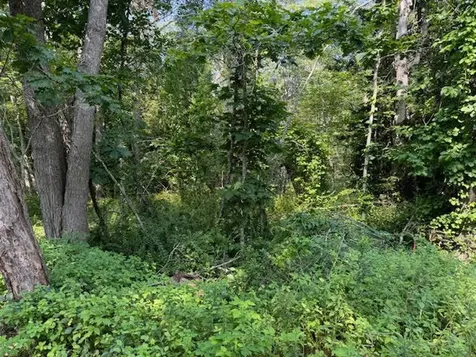 Lot C Long Point Road Harpswell ME 04079