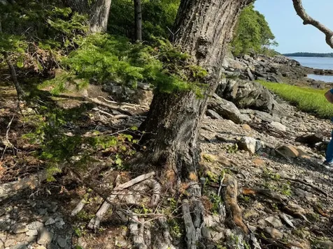 Lot C Long Point Road Harpswell ME 04079