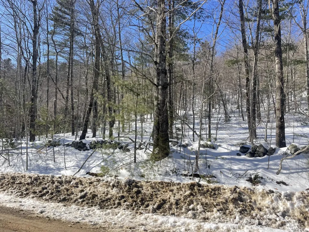 0 Curtis Hill Road Map 1 Lot 23 Road Woodstock ME 04219