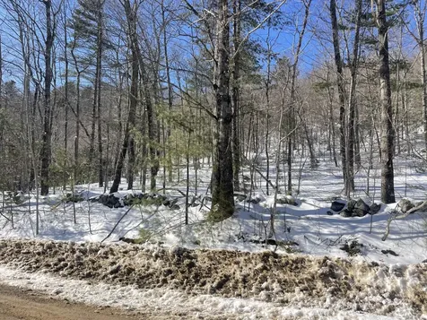 0 Curtis Hill Road Map 1 Lot 23 Road Woodstock ME 04219