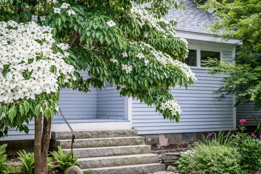 29 Penny Lane Blue Hill ME 04614