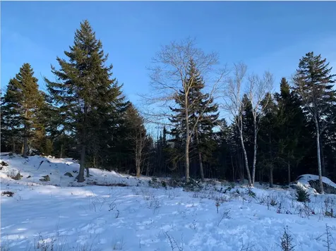 Lot 8 Ledgewood Drive Saint George ME 04860