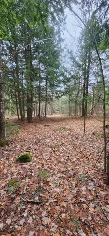 Lot 3 Great Brook Drive Orono ME 04473