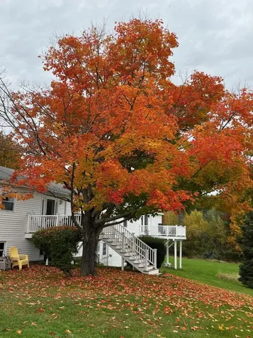 1272 Long Plains Road Buxton ME 04093