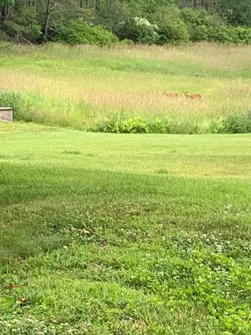 1272 Long Plains Road Buxton ME 04093