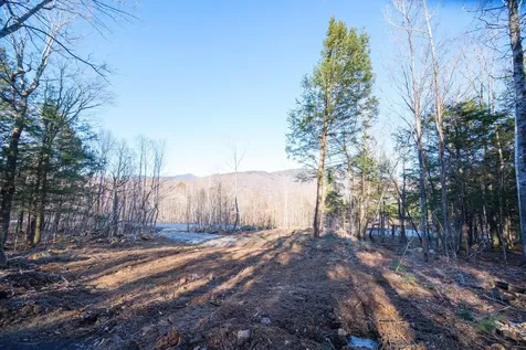Lot 35 Trillium Drive Newry ME 04261