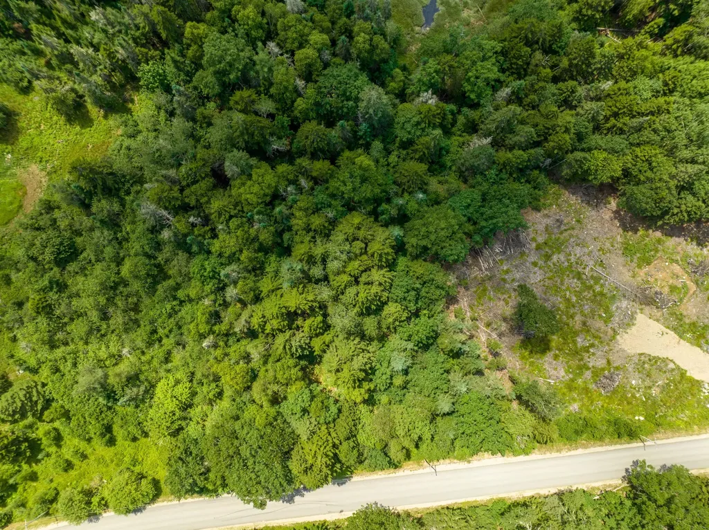 80 Holmes Way East Machias ME 04630