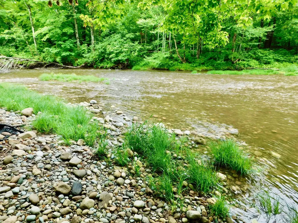 346 Bear River Road Newry ME 04261