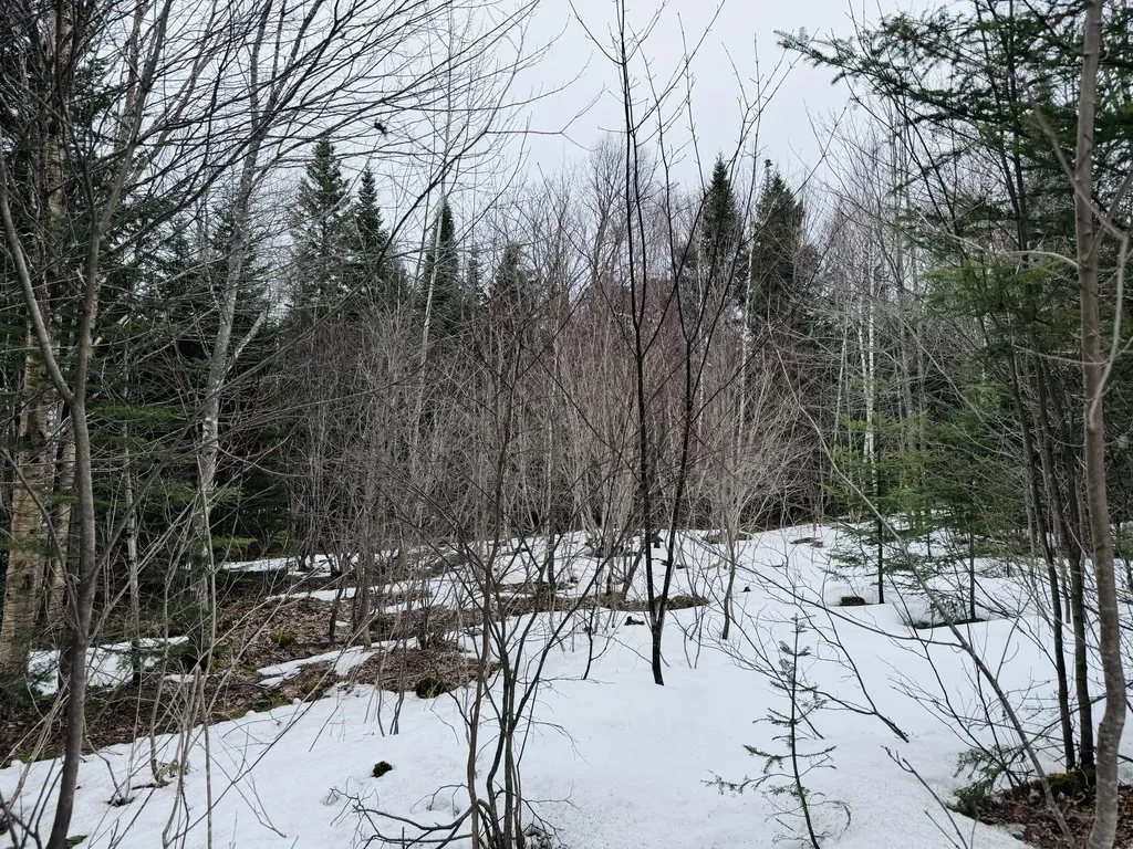 Lot 8 Margaret Lane Rangeley Plt ME 04970