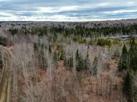 Lot 96 Freedom Way Prentiss Twp T7 R3 Nbpp ME 04487