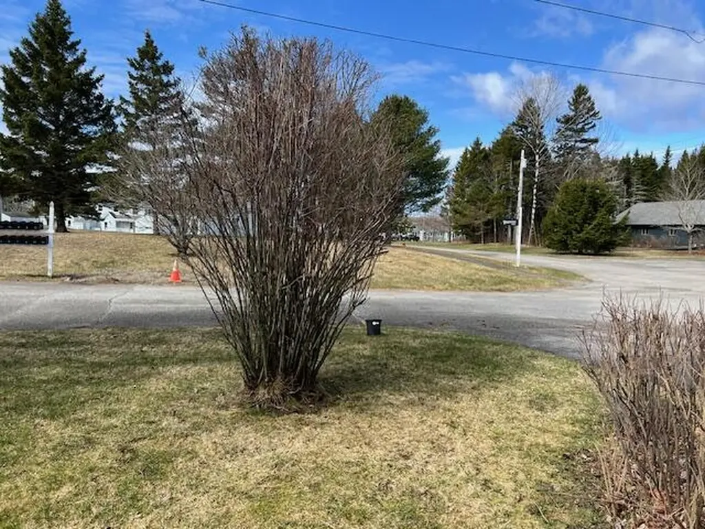 4 Windward Way Cutler ME 04626
