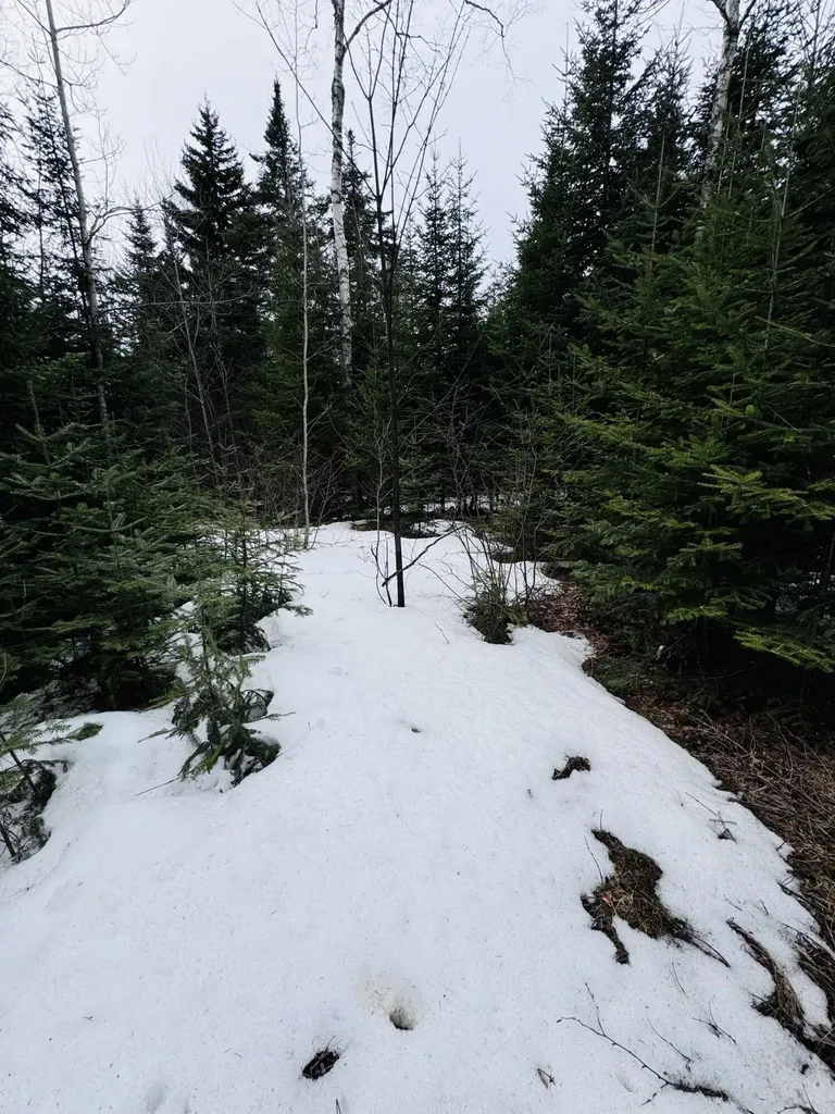 Lot 11 Errol Haley Way Rangeley Plt ME 04970