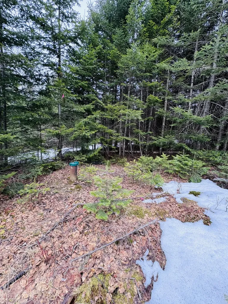Lot 11 Errol Haley Way Rangeley Plt ME 04970