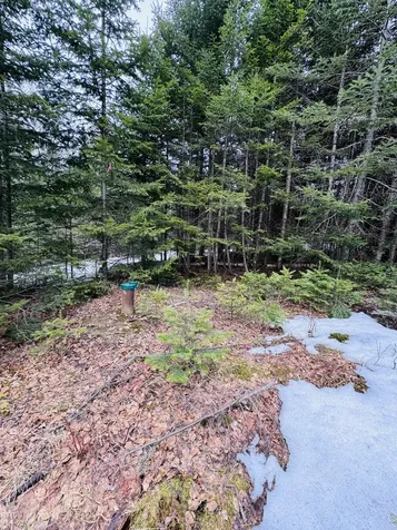 Lot 11 Errol Haley Way Rangeley Plt ME 04970