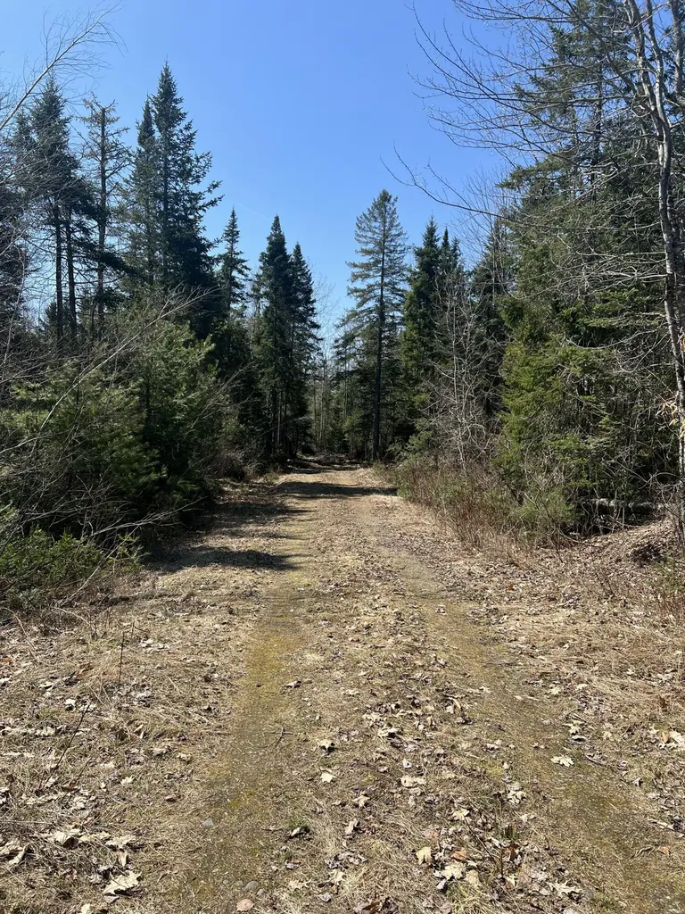 14-4 Hemlock Drive Hudson ME 04449