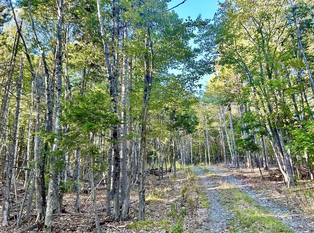 Map 11 Lot 8 Gray Road Sangerville ME 04479