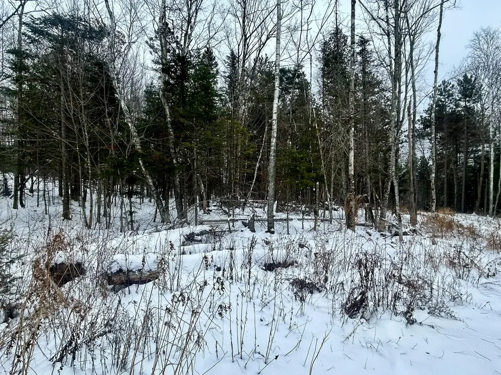 Map 11 Lot 8 Gray Road Sangerville ME 04479