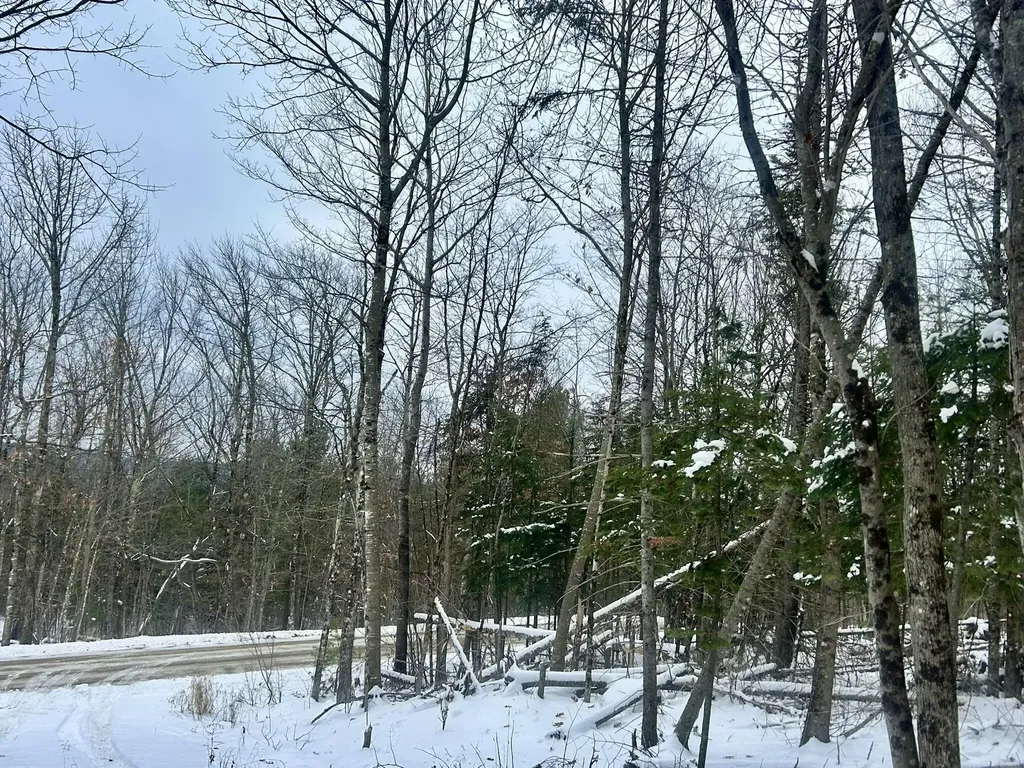 Map 11 Lot 8 Gray Road Sangerville ME 04479