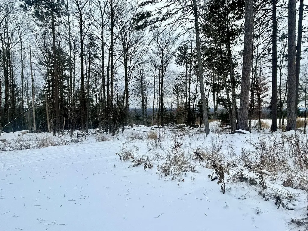 Map 11 Lot 8 Gray Road Sangerville ME 04479