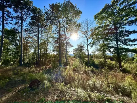 Map 11 Lot 8 Gray Road Sangerville ME 04479