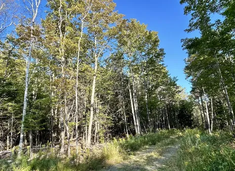 Map 11 Lot 8 Gray Road Sangerville ME 04479