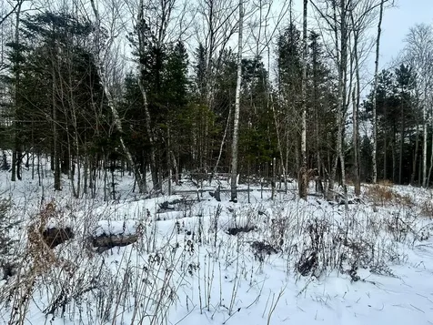 Map 11 Lot 8 Gray Road Sangerville ME 04479