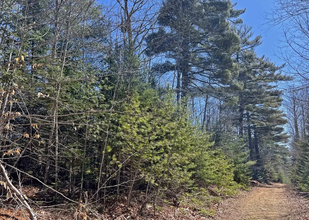 0 Boggy Brook Road Ellsworth ME 04605