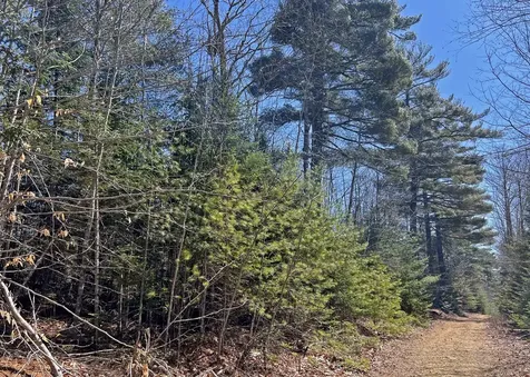 0 Boggy Brook Road Ellsworth ME 04605