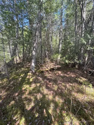 M7 L5 Lombard Road Lakeville ME 04487