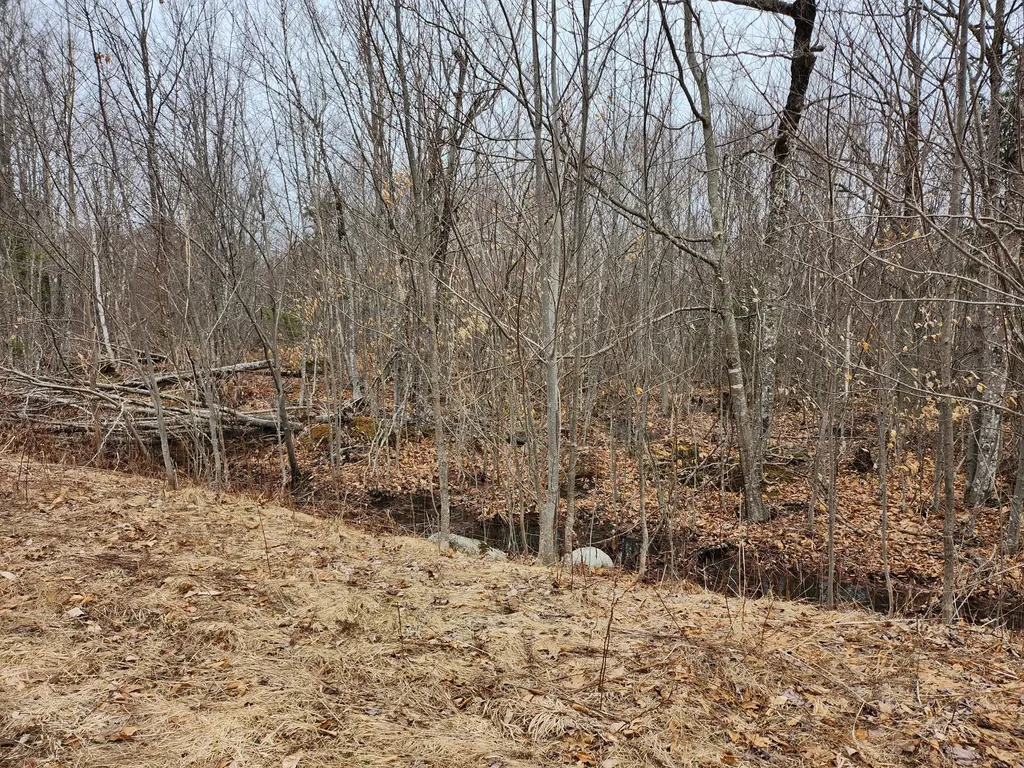 Lot 29-6 Windfall Lane Palmyra ME 04965